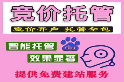 SEM优化托管实战案例集锦